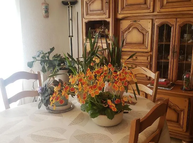 Chaleureuse A La Campagne *